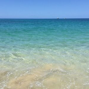 Meet your Posher, Joseline